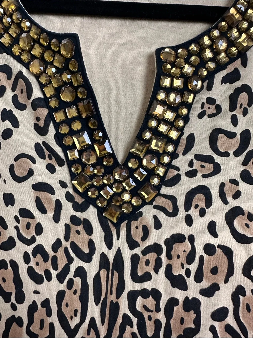 ⭐️DG2 by Diane Gilman Leopard Print Long Sleeve Top with Gold Beaded V-Neck